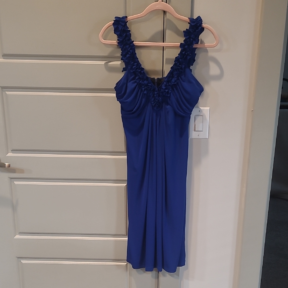 Valerie Bertinelli Royal Blue Garment